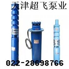 天津潛水電機(jī)，天津潛水泵