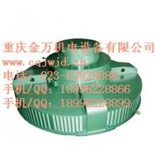 T、TL系列電機(jī)